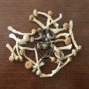 Buy Dry Magic Mushrooms Online