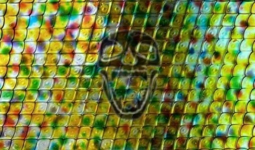 LSD Gel Tabs