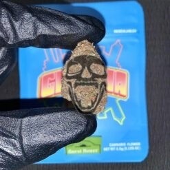 Georgia Pie Exotic Weed
