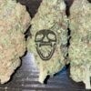 Mac N Cheese Indoor Weed