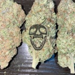 Mac N Cheese Indoor Weed