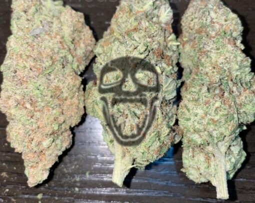 Mac N Cheese Indoor Weed