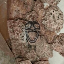 Uncut Purple MDMA Moonrocks