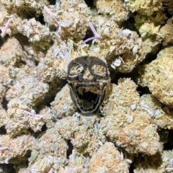 Gorilla Glue Indoor Weed